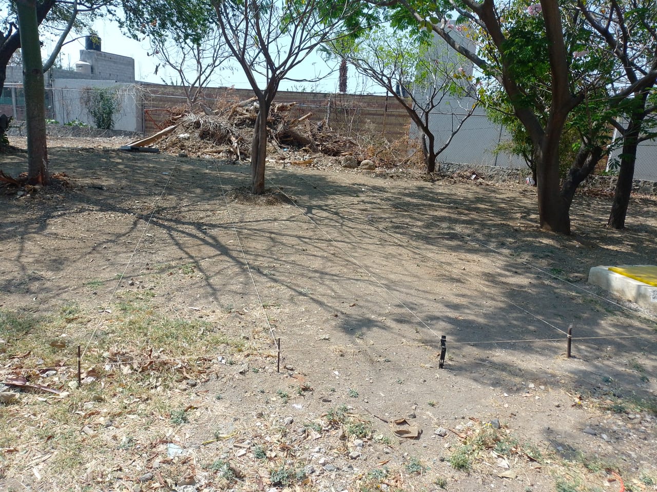 area